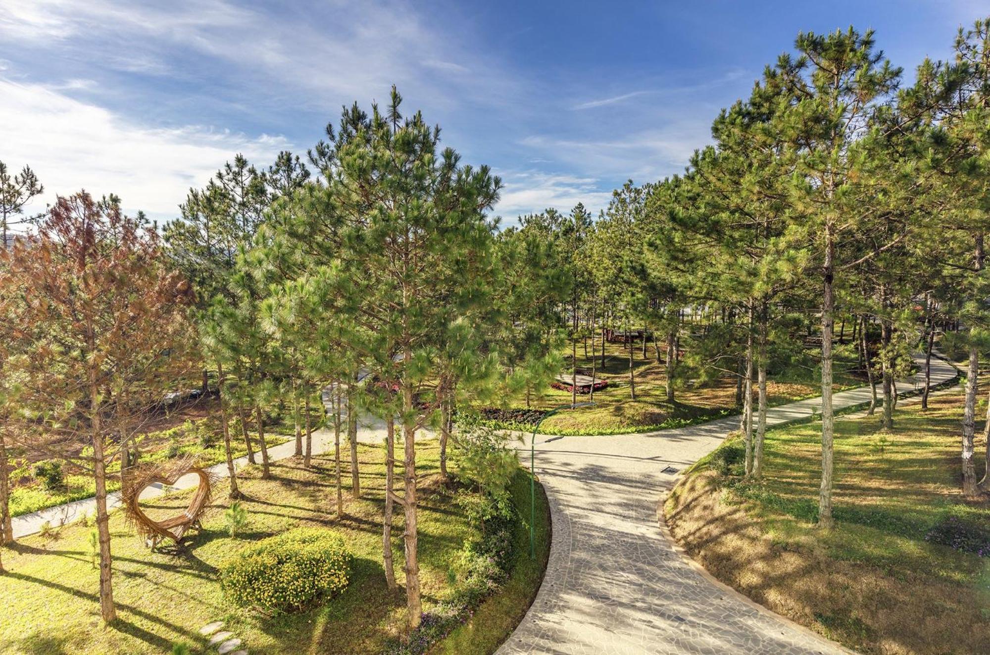 דה לאט Kim Resort - Khu Nghi Duong Rung La Kim מראה חיצוני תמונה