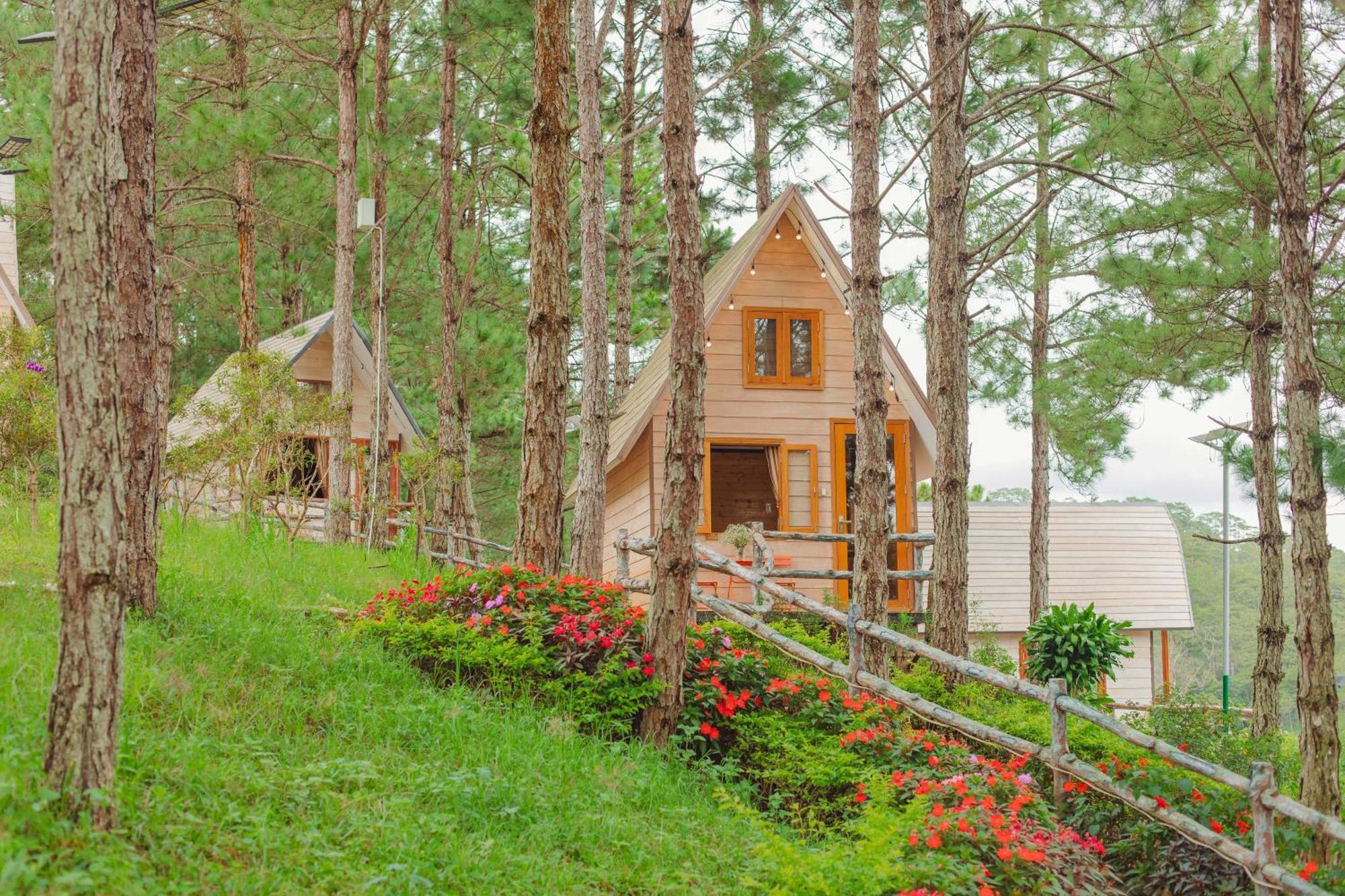 דה לאט Kim Resort - Khu Nghi Duong Rung La Kim מראה חיצוני תמונה