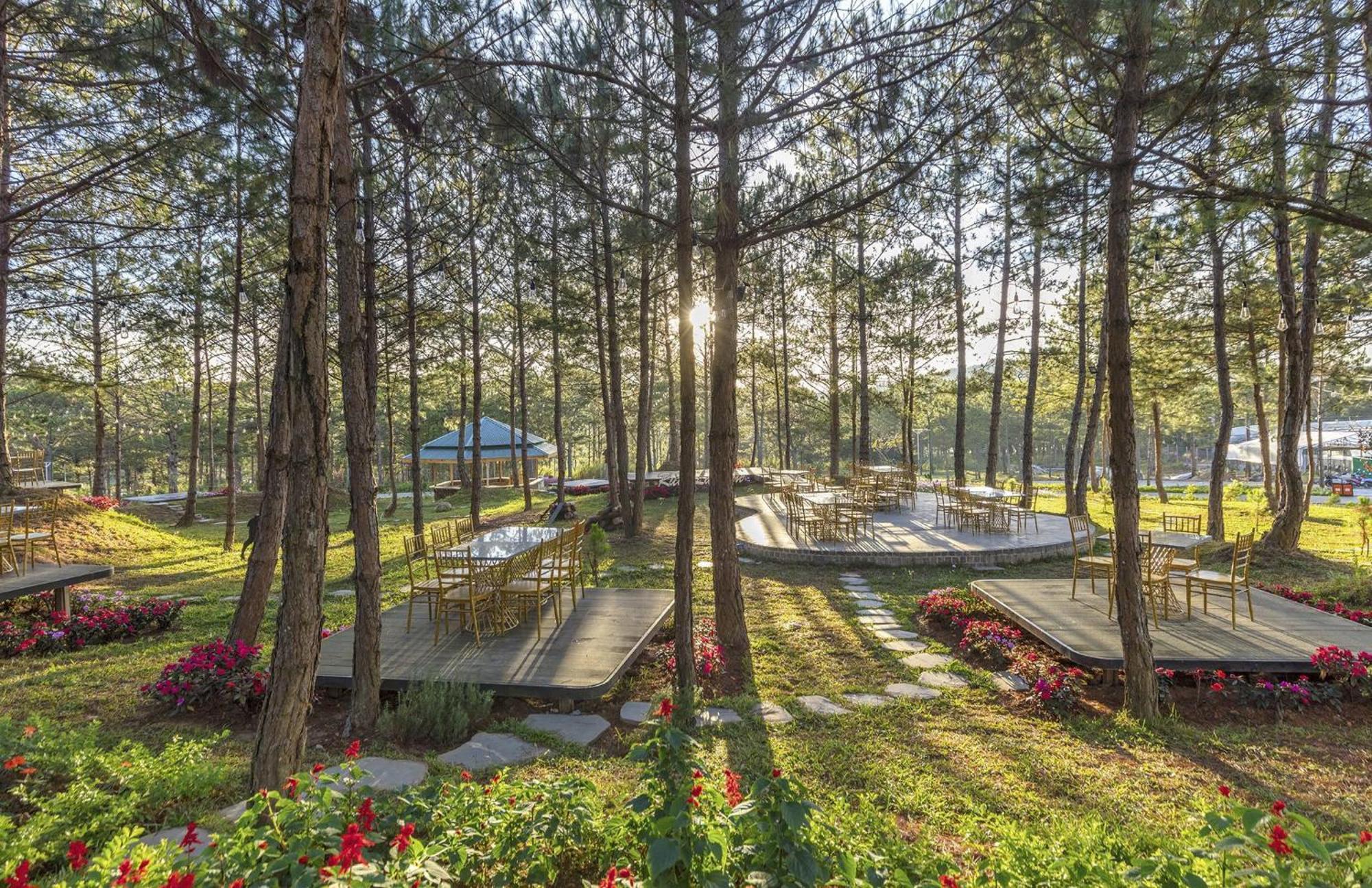 דה לאט Kim Resort - Khu Nghi Duong Rung La Kim מראה חיצוני תמונה